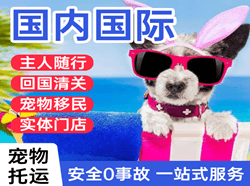 喀什航空空运国际宠物托运 【国